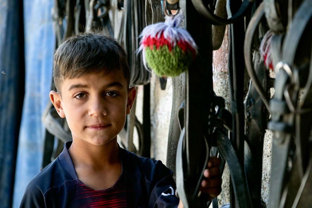 ylmz_mstf34's tweet image. Eskişehir