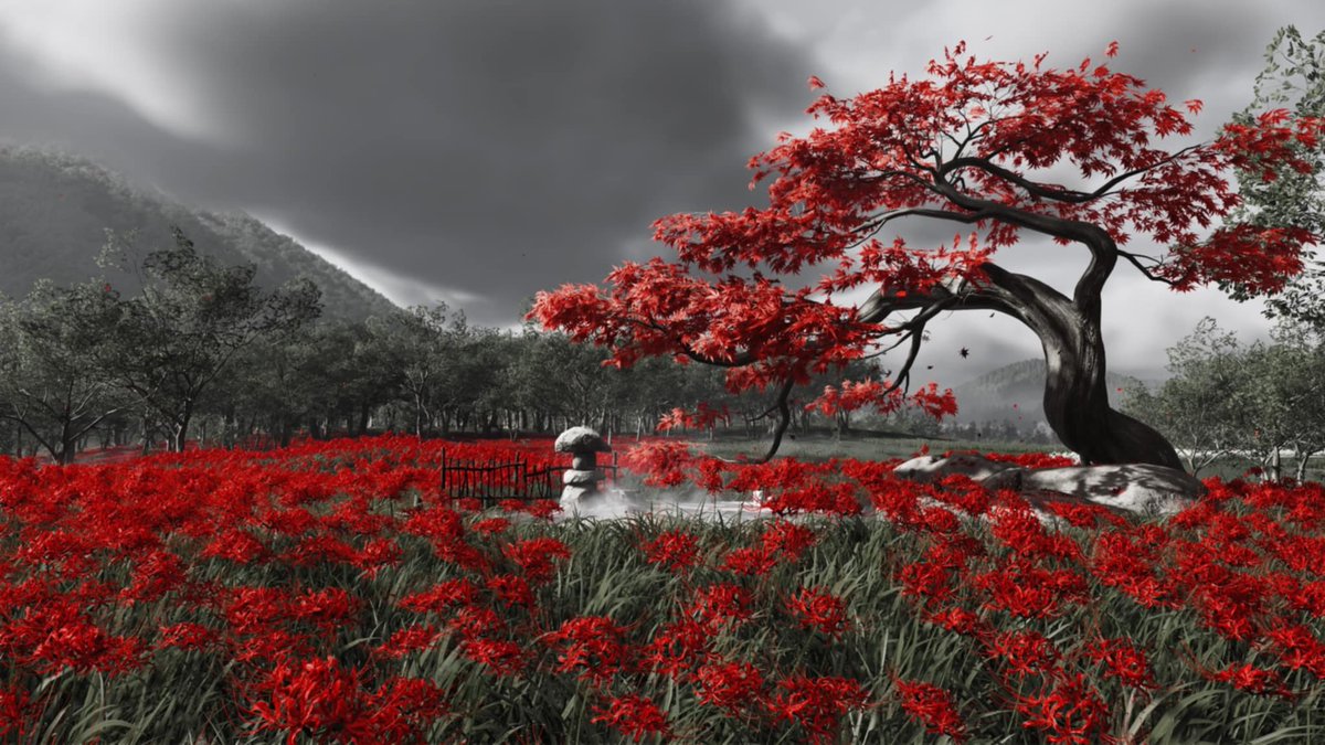 Kolejna pocztówka z Kraju Kwitnącej Wiśni, tym razem z Hokkaido, lub jeśli używać nazwy odpowiedniej dla epoki, Ezo.
Recenzja i więcej zdjęć wkrótce na <a href="/pograneeu/">Pograne</a> 
#GhostofYotei 
#VirtualPhotography 
#VirtualPhotoTop