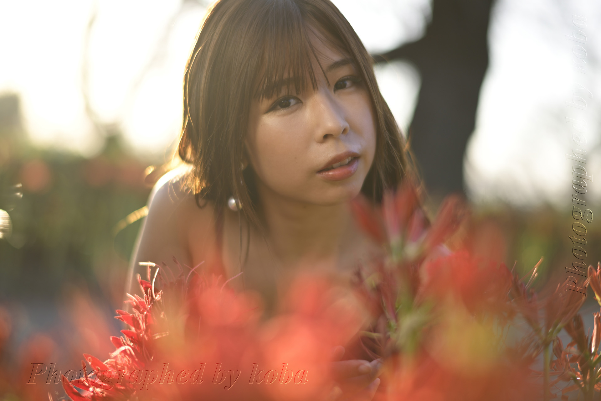 あきあかねさま確認ページ♡ koba on X: 