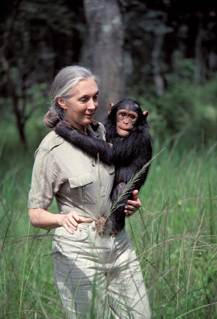 Jane Goodall  🤍
(1934- 1.10.2025🥀)

#JaneGoodall