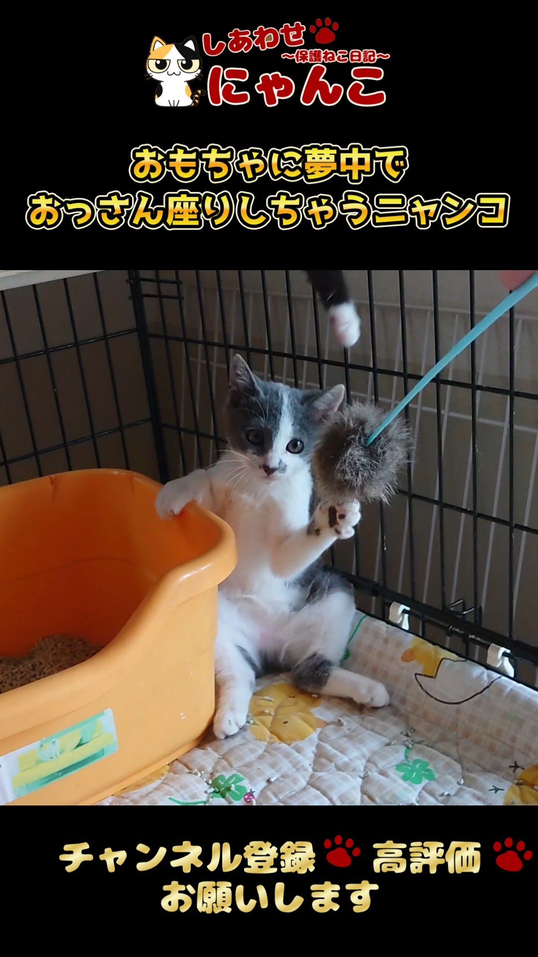 しあわせにゃんこ しあわせにゃんこ サンエックス ぬいぐるみ マスコット 平成レトロ