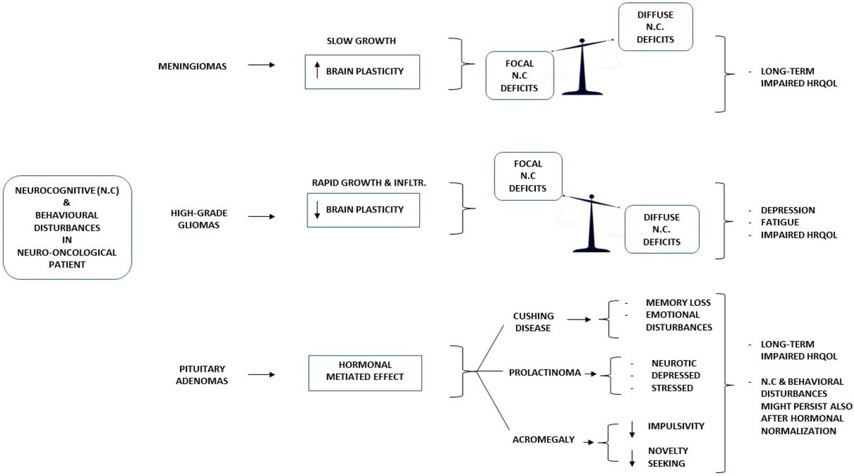diagnostic_mdpi's tweet image. 👉Check out this review paper by Daniela Pia Rosaria Chieffo et al., "Brain Tumor at Diagnosis: From Cognition and Behavior to Quality of Life"
✨28 citations received
📑Access the full paper here: mdpi.com/2075-4418/13/3…
#BrainTumor #Diagnosis