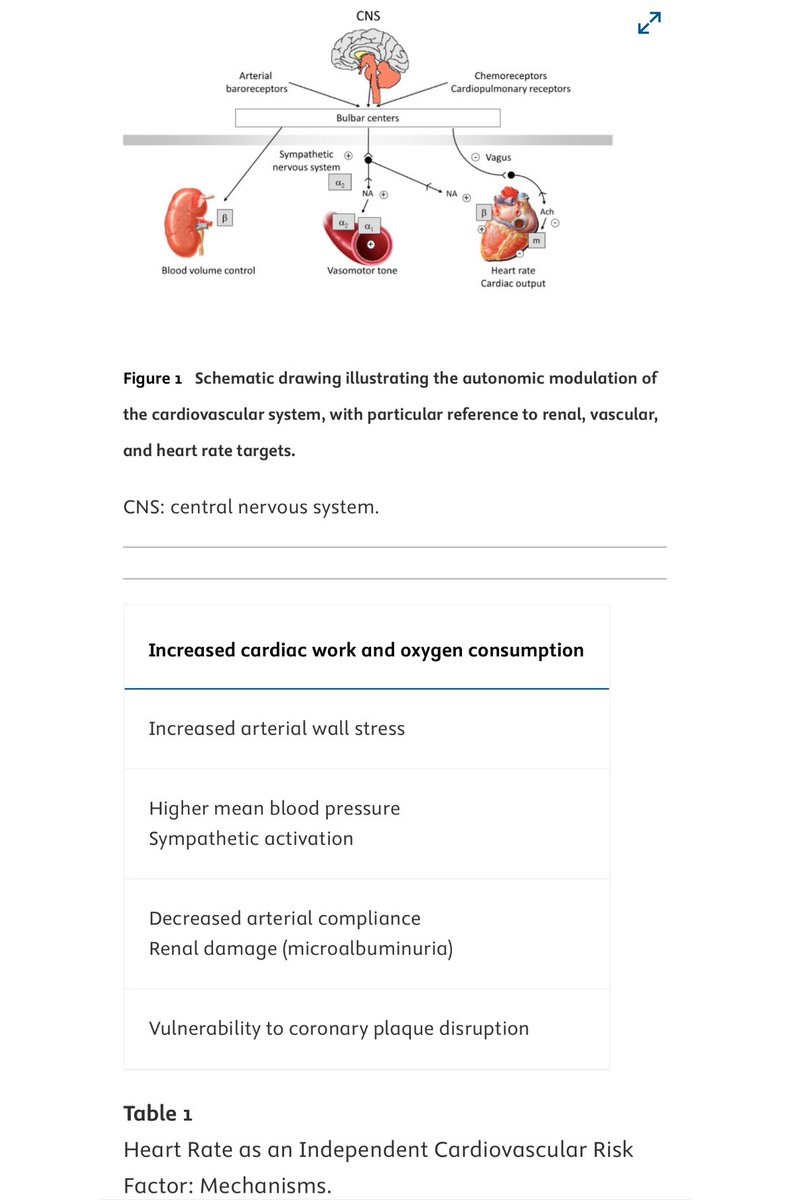 Consistently do the type of exercise that chronically lowers resting heart rate.