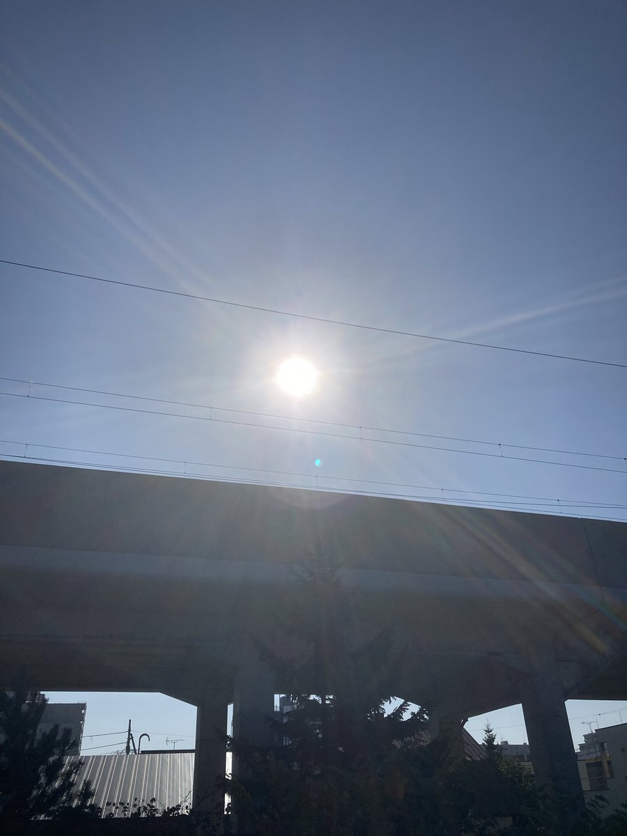 Good morning ☀️🕊️💕Afternoon 🍊
Evening 🍇 night ✨🦉