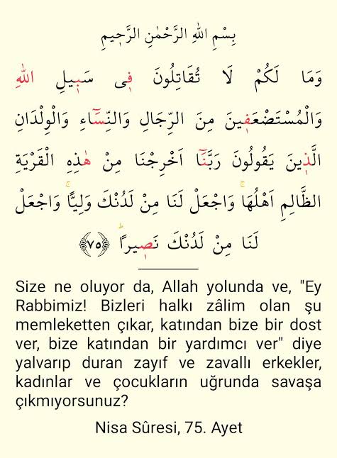 Serkan Ala (@srkn_ala) on Twitter photo 