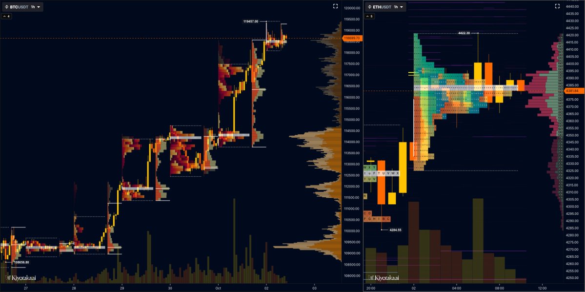 TPO is now live on Kiyotaka

Time Price Opportunity (TPO) charts show where the market spends the most time, helping you spot value areas, balance vs imbalance, and potential breakout zones.

Market Profile + Order Flow + Heatmap in one view