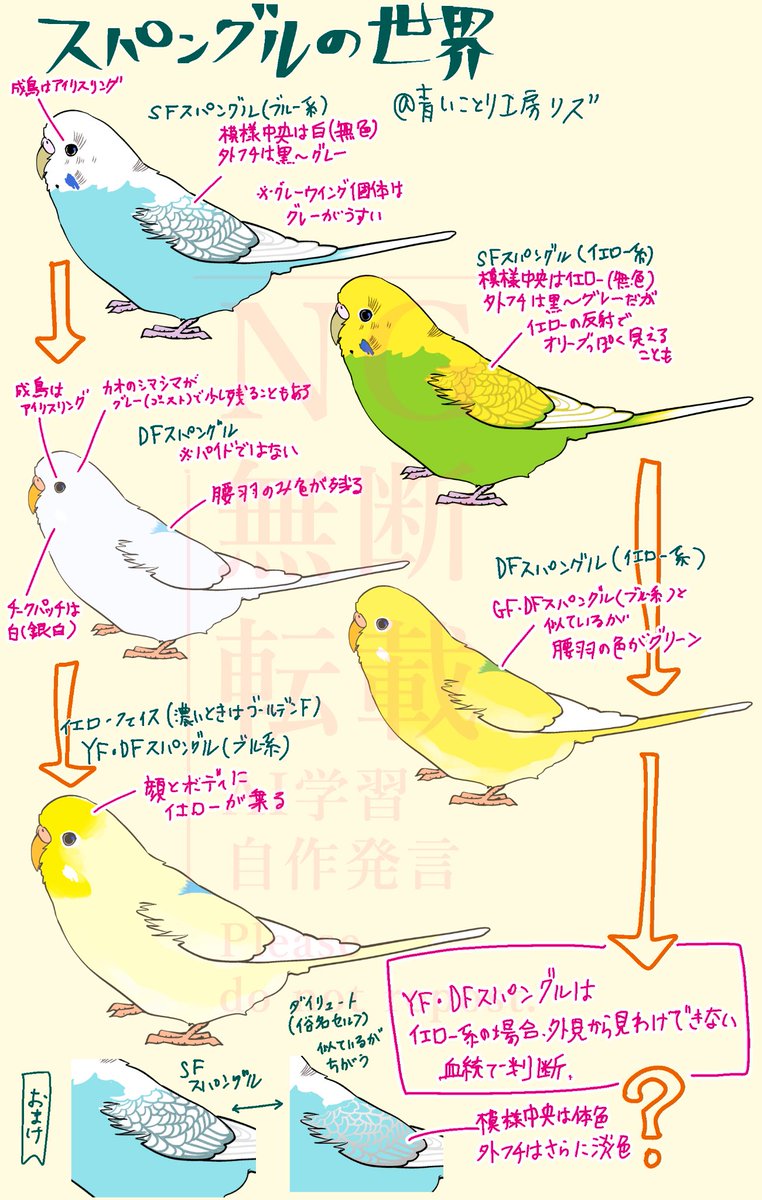 せきせいくうページ iiyama PC LEVEL-R6X5-LCR56X-SAX-ZETA DIVISION [RGB Build