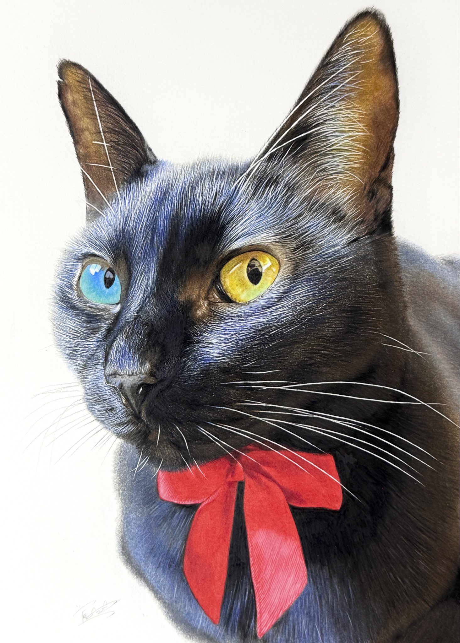 鉛筆画　猫 鉛筆画 猫 制作動画 - YouTube