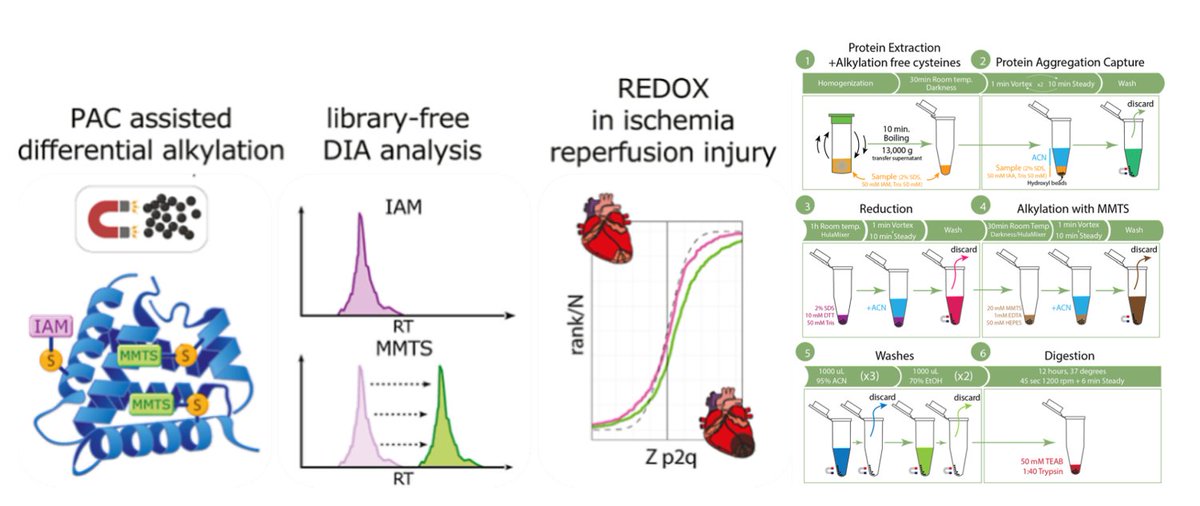 ReSyn Biosciences tweet media