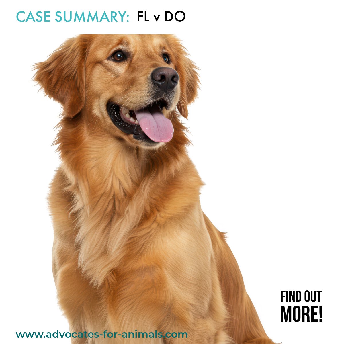 A recent case in the Family Court in Manchester provided insight into how a dispute over the "ownership" of a companion animal may be dealt with in a divorce. Reassuringly not only was the dog's welfare taken into account, but his preference was too. For more see: