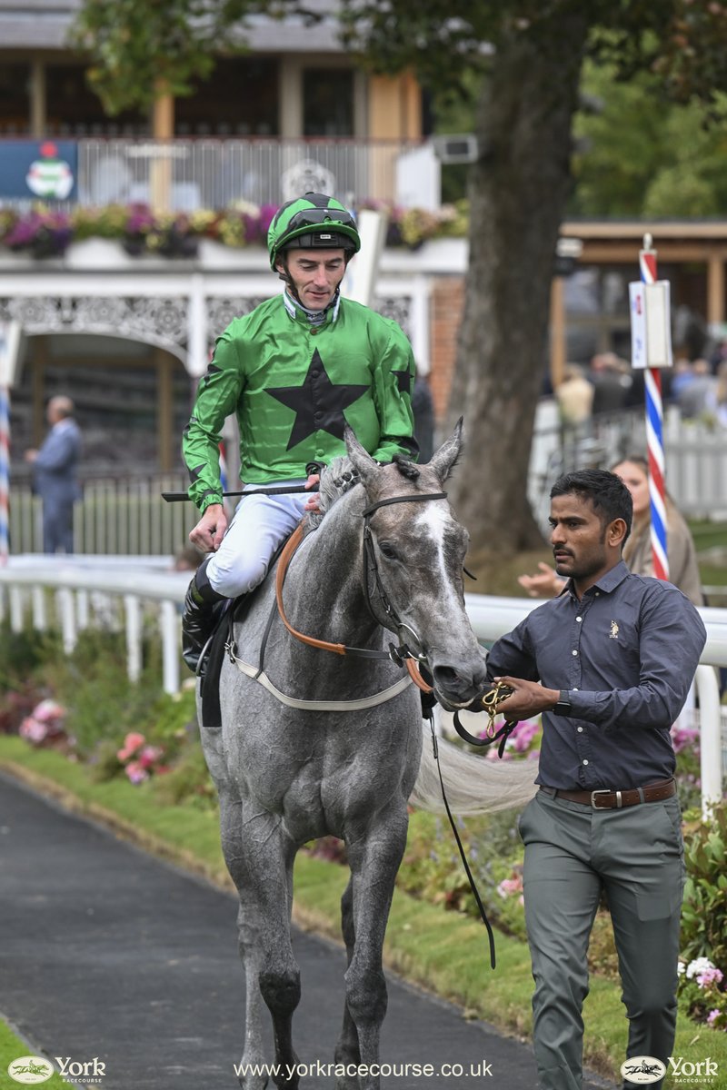 Michael Madden tweet media