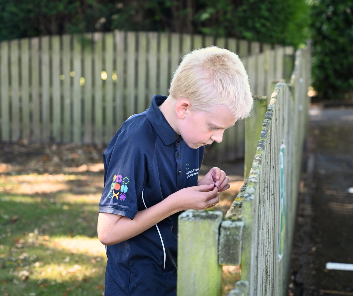 William Henry Smith School and Sixth Form tweet media