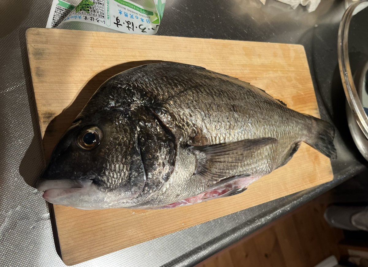 かもめ⭐︎ かもめ🐟 (@GULL727) / Posts and Replies / X