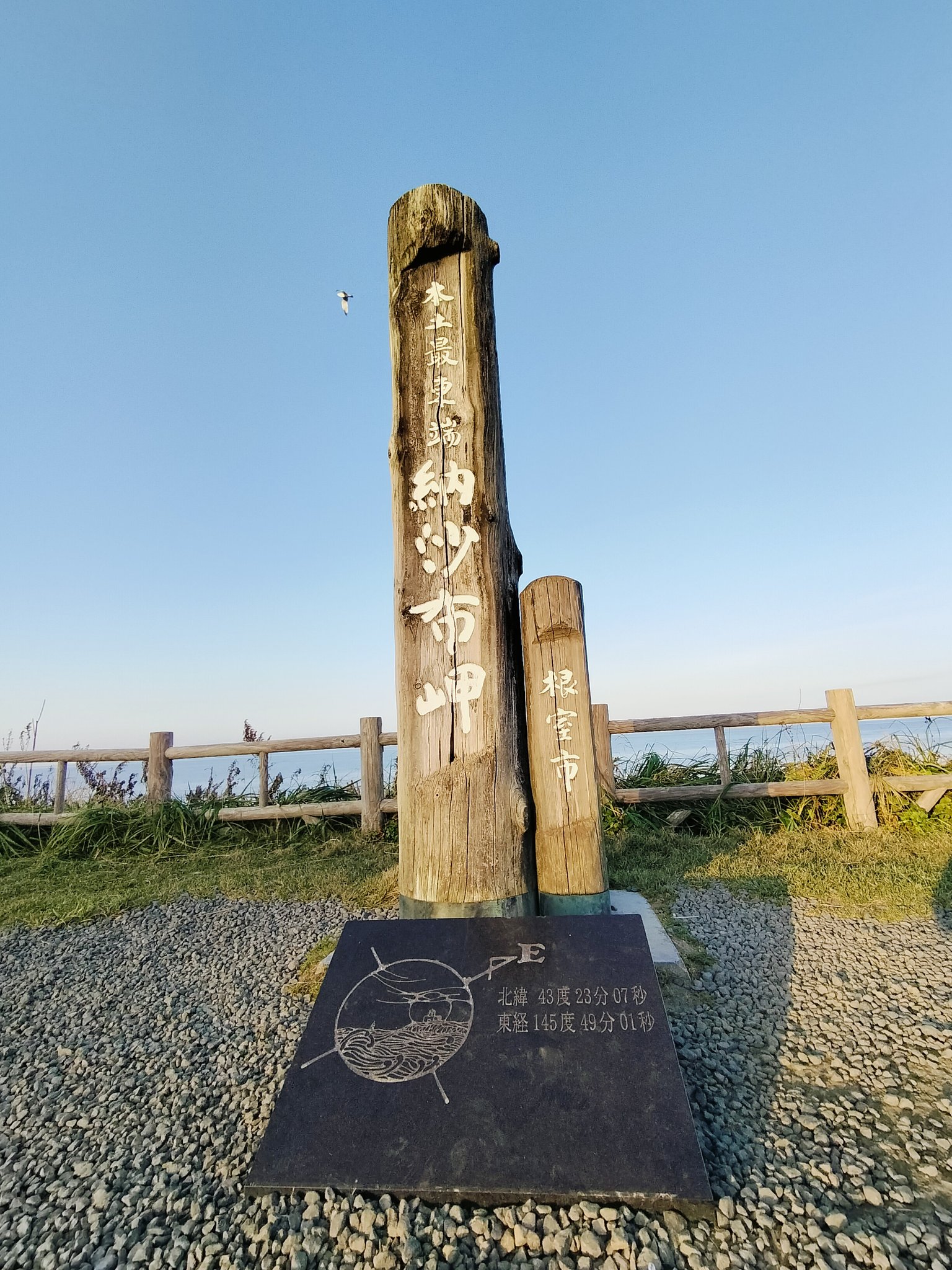 メグえもん様 61dDe-gzXeL._UF350,350_QL50_.jpg