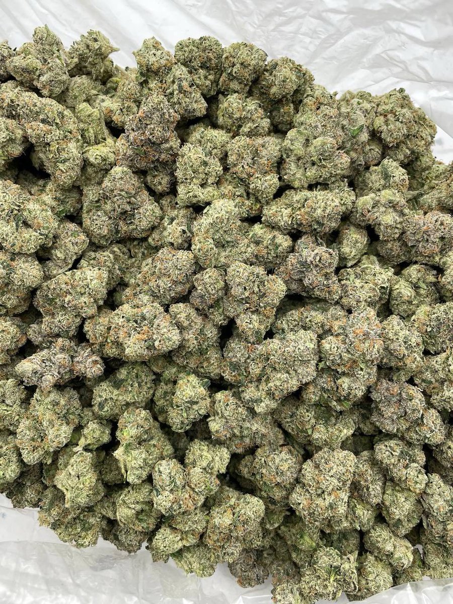 XoticsMenu's tweet image. Cherry Pez indoors 🍒
——————————————————
Sticky lime green candies with a good amount of color sprinkled through the bag and a frosty cure! Loud cherry candy gas nose 👂🔥

📦$1300 P
📦$1250 5+
📦$1200 10+
📦$1150 25+
📦 50+ 📲
——————————————————
📍 Intown - $1100📍
📲 DM for TP