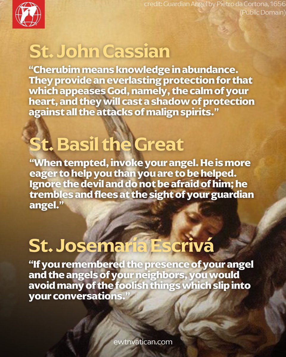 EWTNVatican tweet picture