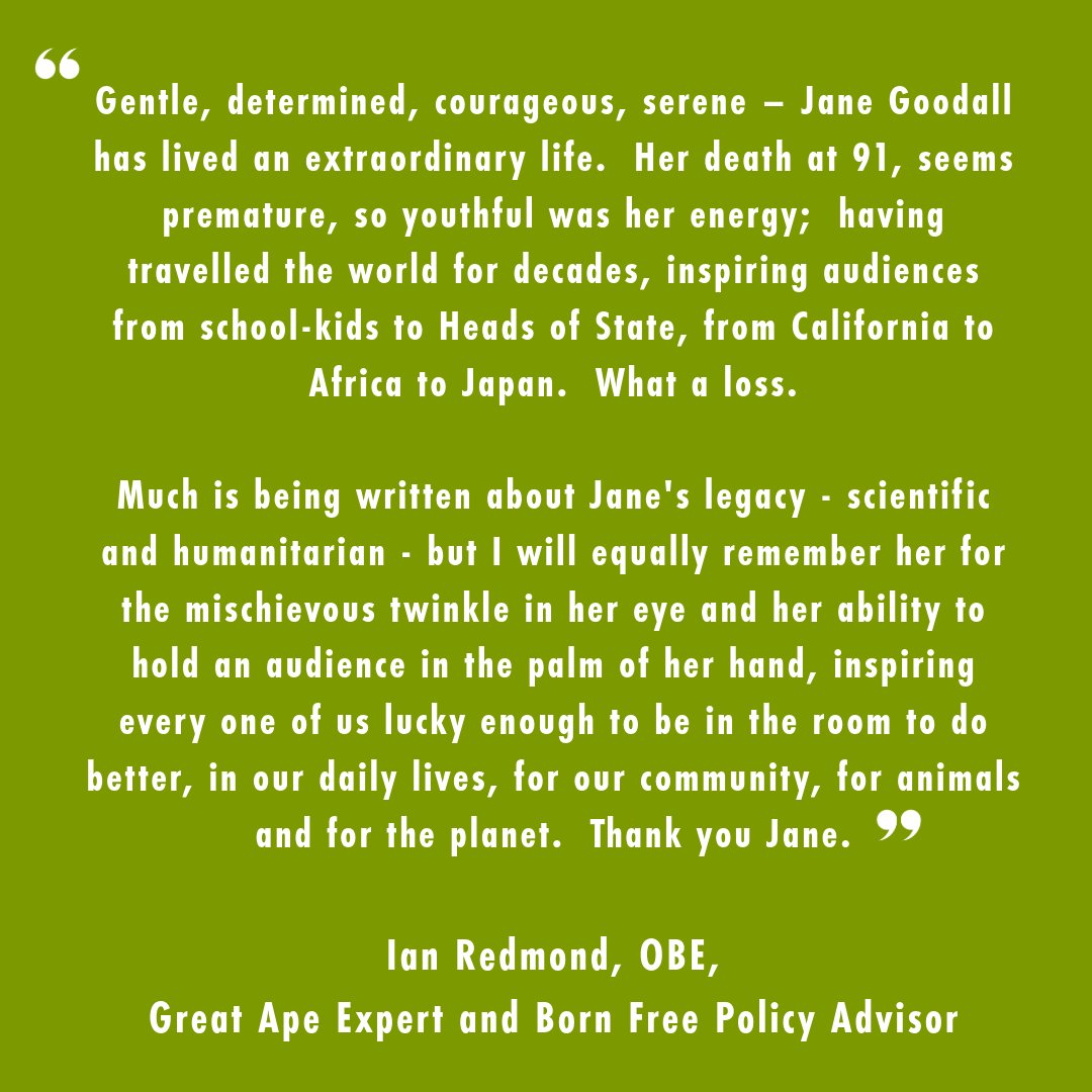🕊️ Born Free is deeply saddened by the passing of Dame Jane Goodall at 91.

A pioneering primatologist, Jane devoted her life to protecting chimpanzees and the natural world. We were honoured to work alongside her over many decades.

📝 Read our tribute: bit.ly/4nTCiUq