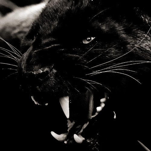 ͏ ͏ ͏ ͏ ͏ ͏ ͏ ͏ tweet media