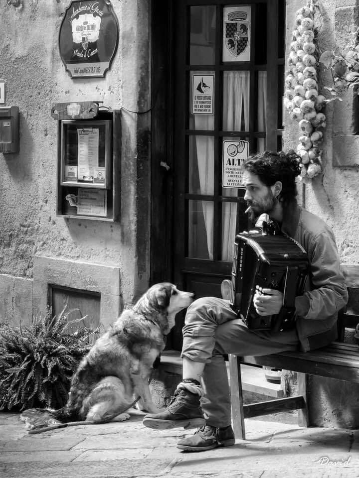 "The meaning of life is
just to be alive.
It is so plain and so obvious
and so simple. And yet,
everybody rushes around
in a great panic as if it were
necessary to achieve something
beyond themselves."

Alan Wilson Watt