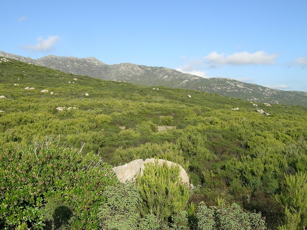 Autunno sull'#IsolaDElba, il momento perfetto per percorrere #LaViaDellEssenza!
Pianifica il tuo cammino con la nuova piattaforma digitale dei sentieri del Parco Nazionale Arcipelago Toscano. Crea l'itinerario, scarica la traccia GPX e mettiti in cammino.
 islepark.it/mappa-4land/