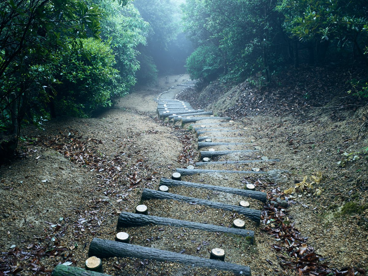 dalsaph's tweet image. 王子が岳（岡山県玉野市） 
May 2019
Phase One P40+ / Phase One AF 45mm F2.8 #mediumformat #okayama