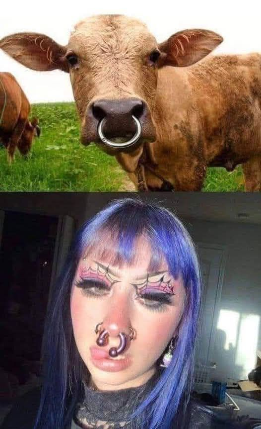 Zbyt podobne żeby spać spokojnie.