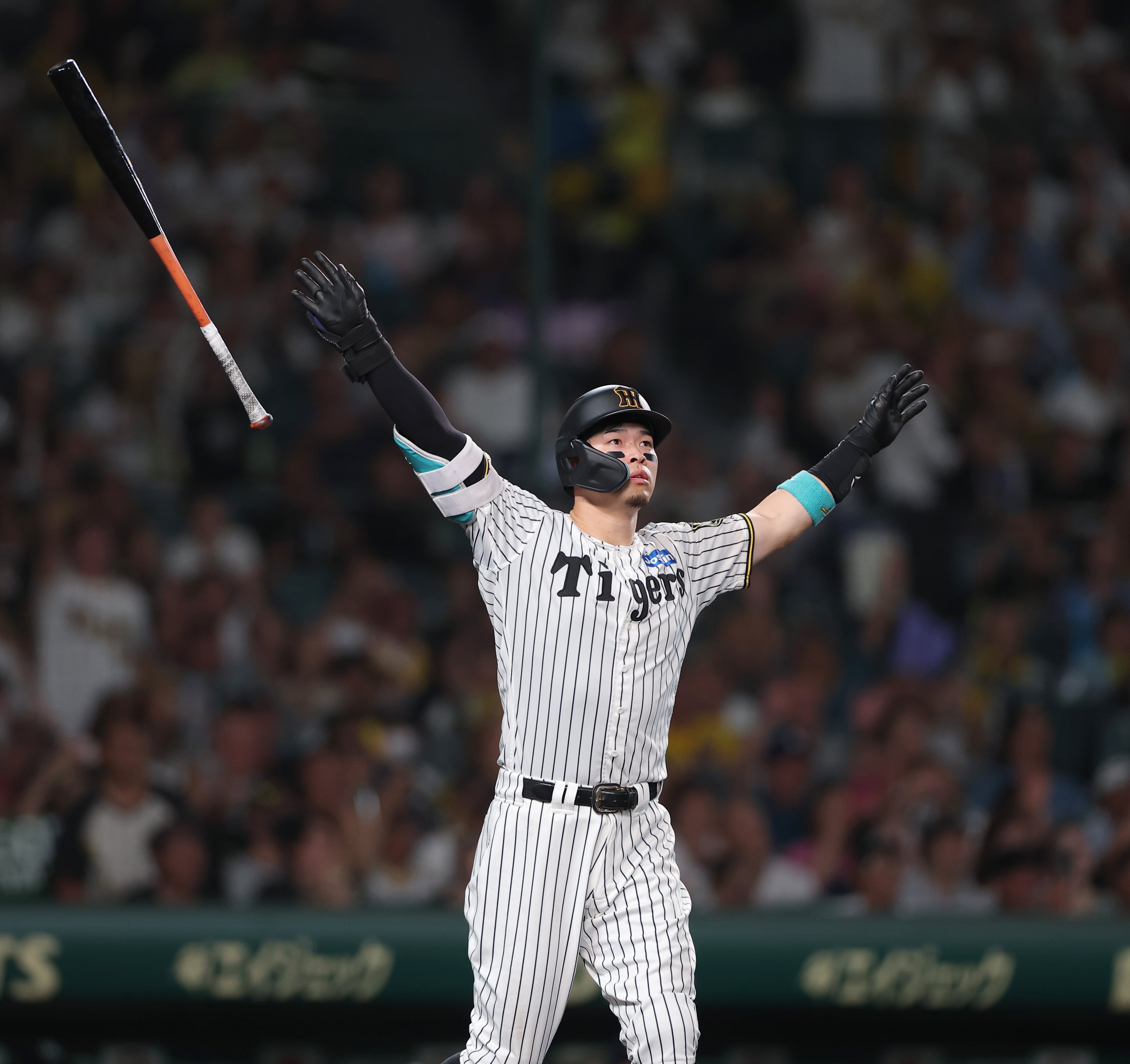む*ー様 阪神タイガース オンサイトカード 佐藤輝明 む*ー様 阪神タイガース オンサイトカード 佐藤輝明 む*ー様 阪神