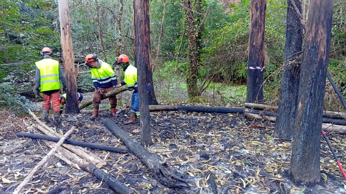 MAmbienteXunta's tweet image. ✅ Comezan os labores de protección fluvial en ríos de Barreiros, en Lugo

💧 As tarefas de #AugasDeGalicia teñen un carácter especial por mor dos incendios, dando prioridade á protección das canles ante posibles arrastres de cinza e madeira queimada

🔗 xunta.gal/notas-de-prens…