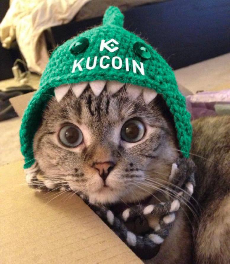 0DforD0's tweet photo. $SC https://t.co/I0YU8fEYnJ