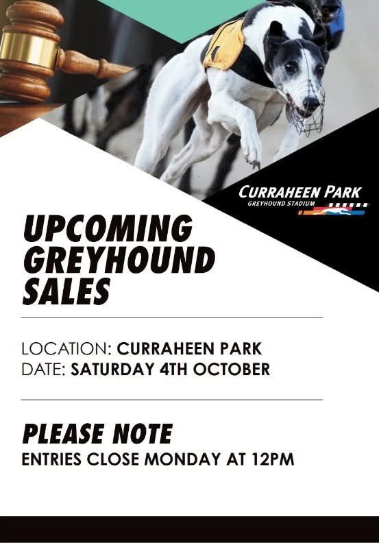 DB Racing are looking to add a new addition to the syndicate <a href="/CorkDogs/">Curraheen Park Greyhound Stadium</a> on Saturday.

If you’d like to get involved please get in touch.

Jason Gray will be training <a href="/nottingham_dogs/">Nottingham Dogs</a>