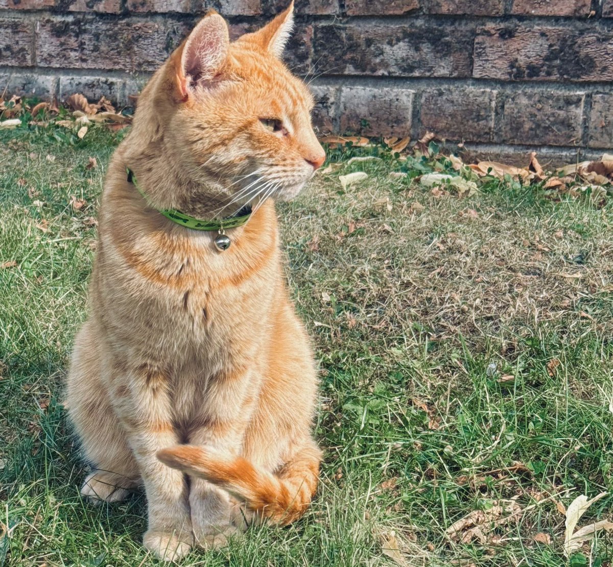 doubleesspresso's tweet photo. I love you so much JR, R.I.P my beautiful boy ❤️ https://t.co/Xm1Rjcyh17