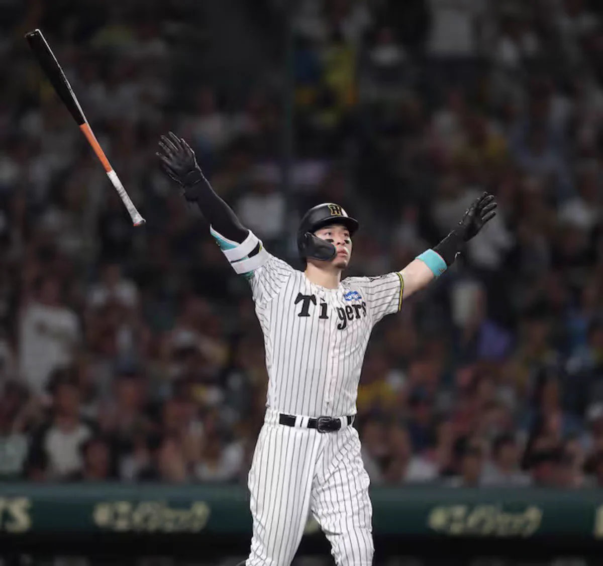 タマスポTIGERSフォトファン on X: 