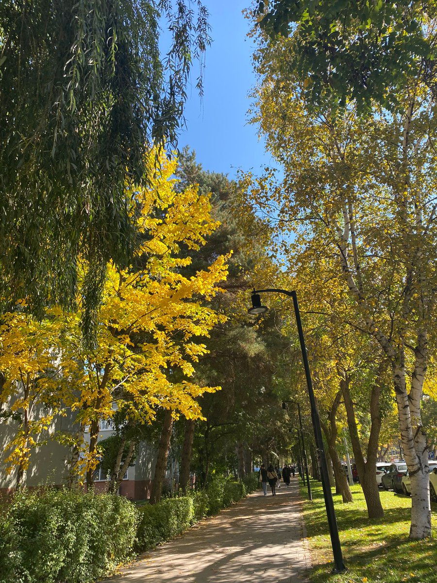 Sar zamanı geriye 
geriye geriye en güzel yerine ...