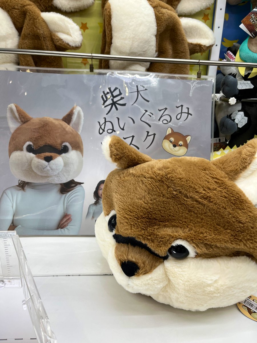 チャウヌ入隊記念⭐ドンドンイぬいぐるみ2個♥️全州同じ店でGET チャウヌ入隊記念⭐ドンドンイぬいぐるみ2個♥️全州同じ店でGET