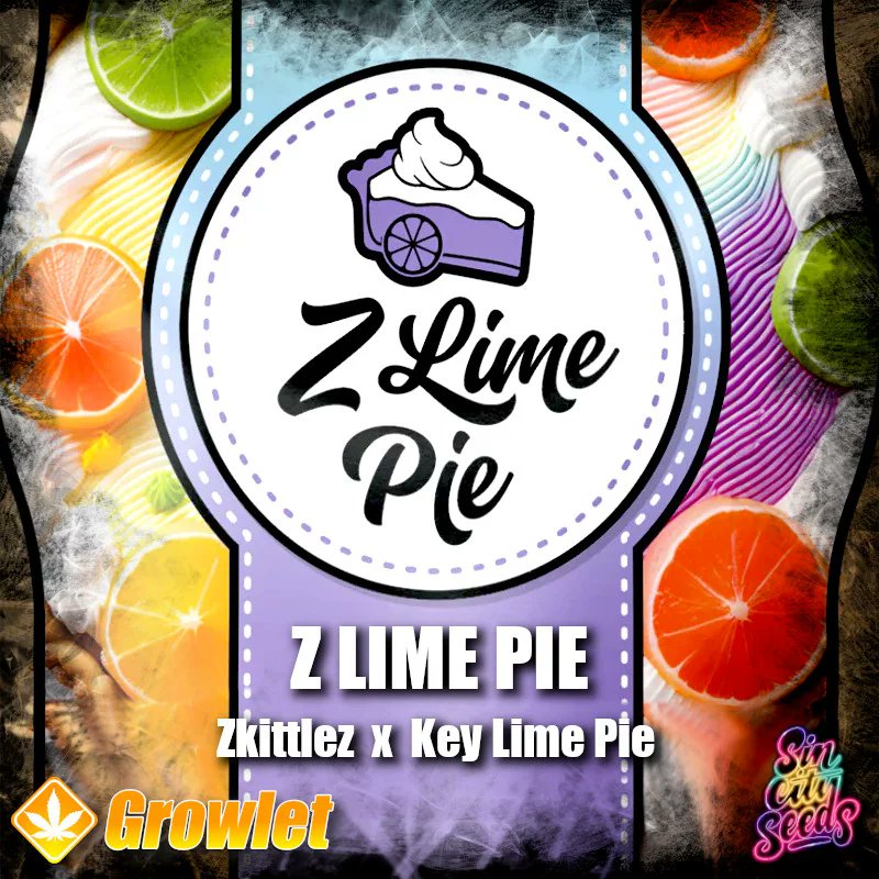 GrowletGrowShop's tweet photo. SinCity Seeds is in da house with the Key Lime Pie 🍋🍰 drop 😎

https://t.co/XJbSvh60P7

#growlet

#growlet_grow

#sincityseeds

#keylimepie https://t.co/Ks7N3wWXQK