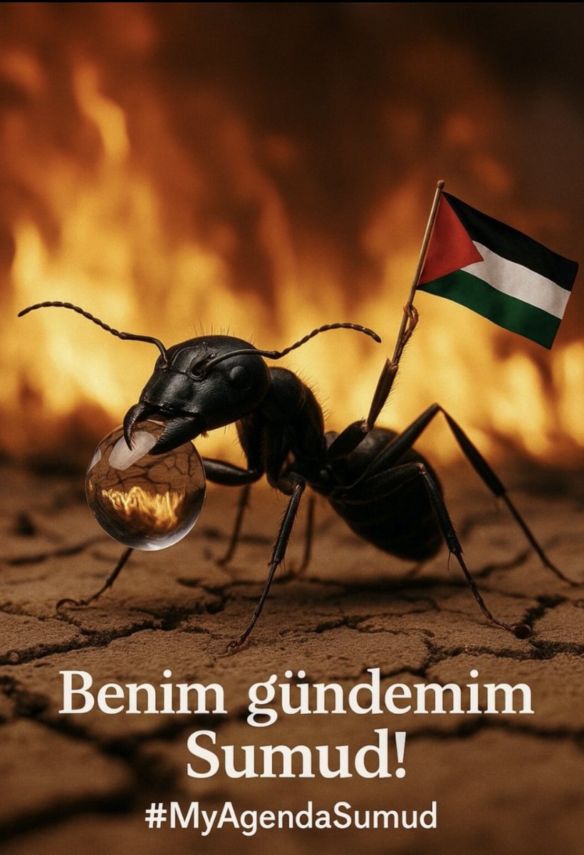 elbrk28's tweet photo. #nazisrael https://t.co/pCKUyVr7YT