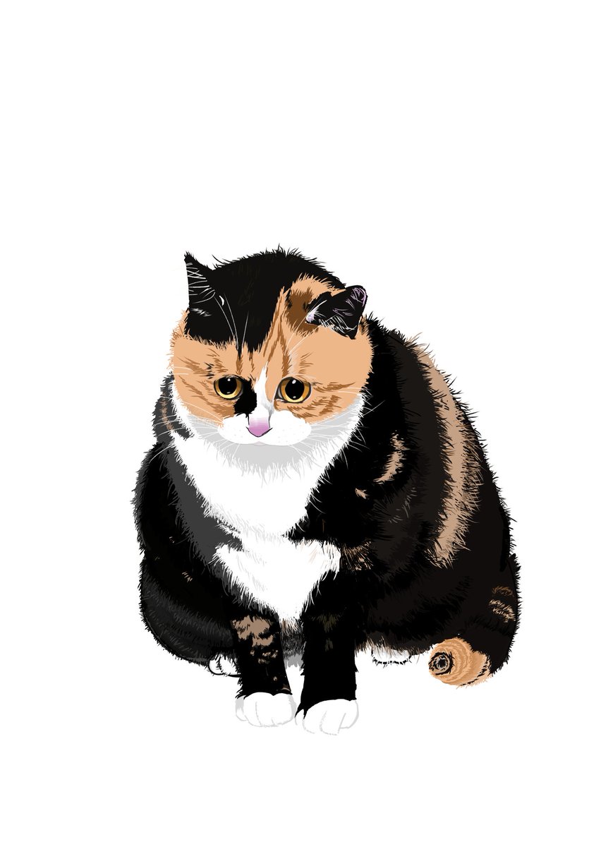 아니 어케 고양인데 고양이 수염을 빼먹을 수 가 있지
살짝 수정했어요