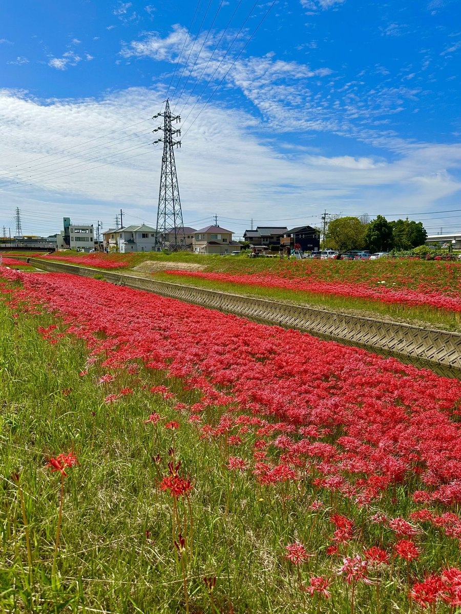 シェリー (@PSdceZuWHh6SPjj) / Posts / X