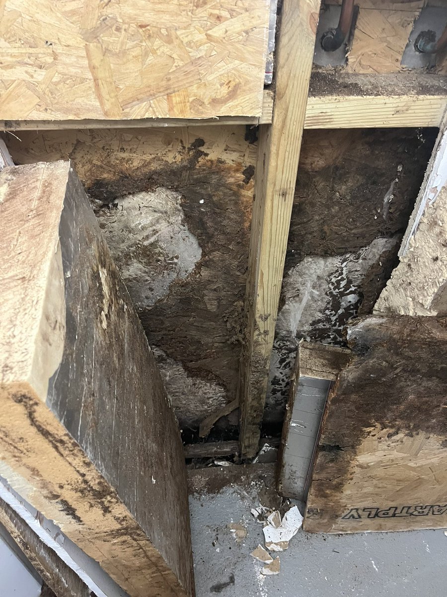 jca_ltd_co_uk's tweet photo. Opened up the back of a shower and damp and damage evident - what would be suggestion to resolve here? https://t.co/WSmzFuWdE5