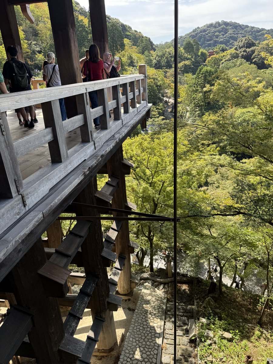 Chomarin8739's tweet photo. 京都　一人旅🫶🏻 https://t.co/M1f15oUGjF