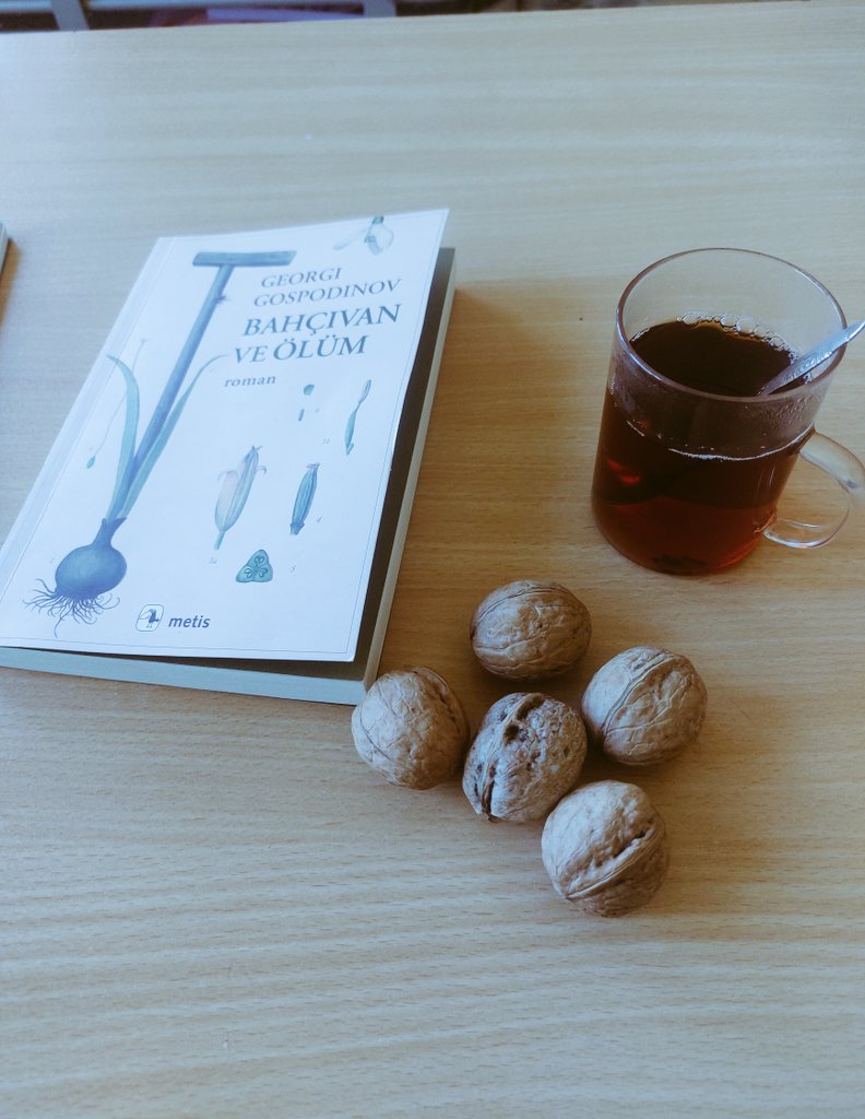 meryemcsknc's tweet photo. #Elfan #Pınardere #Savur https://t.co/8c8eFVizJ0