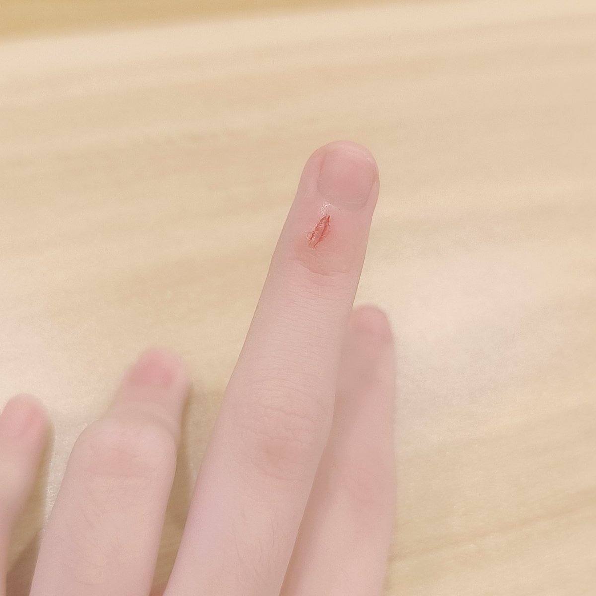 天蕓茶茶☁🐶 蘿莉Vtuber tweet media