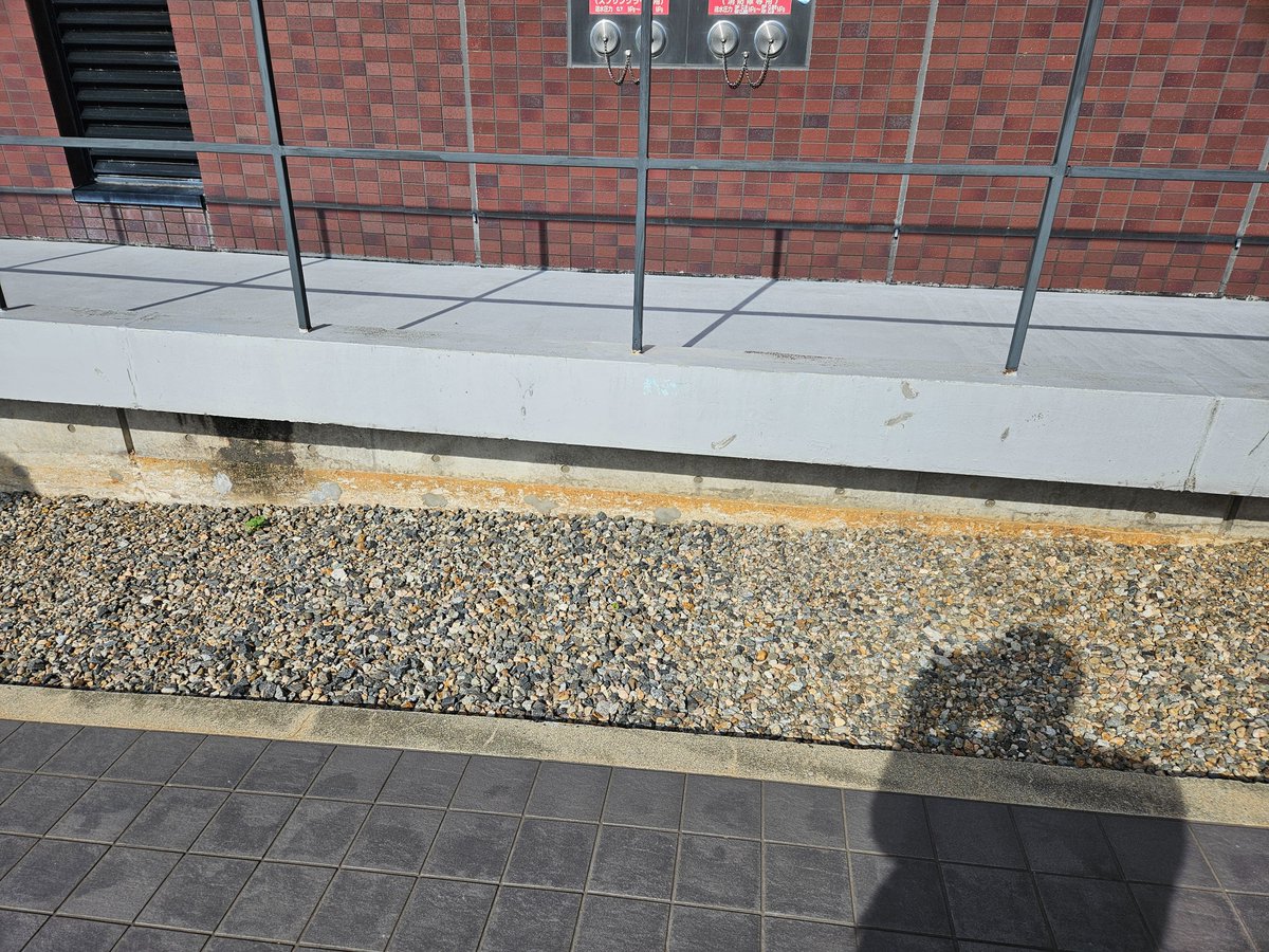 七尾市、恵寿総合病院。免震構造、地盤沈下は土台の色が変わっているところまで。能登半島地震直後は、近隣住民の方も200人避難、10時間後にはお産も。県議会厚生文教委員会能登地域調査。#能登半島地震