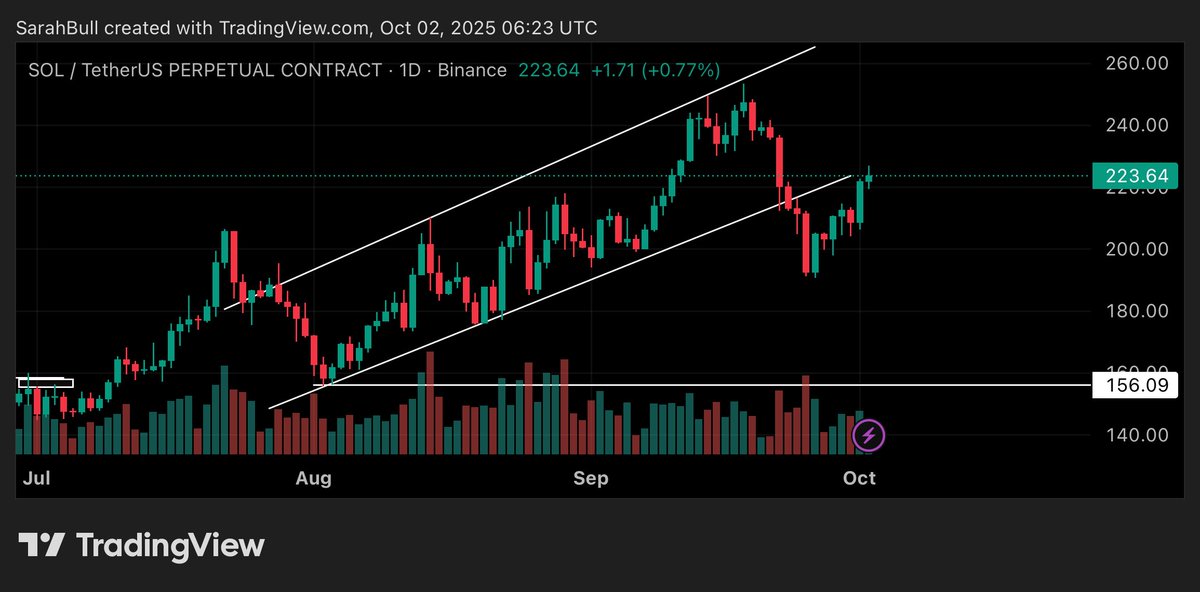 Sarahjeffs05's tweet photo. $SOL breakout of a rising wedge and price looks set to drop below 200 and head 156 as the final target. Expecting $SOL to drop below 200 over coming days. 

#eth #xrp #sxp #ada #ren #grt #chr #chz #doge #bnb       $Btc $Eth $Xrp $doge $bnb $mir $icp $icx $Sxp https://t.co/ngnEzdwYWj