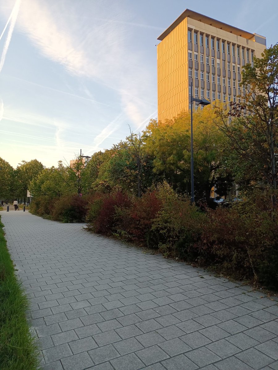 DBecerraMayor's tweet image. En París, Nanterre, para participar en el congreso Écritures du travail. En mi ponencia de mañana, hablaré de la lucha por los salarios y la organización para la revolución obrera en Tea rooms de Luisa Carnés y La mina de Armando López Salinas.