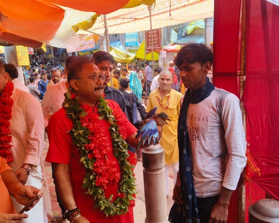 AshokChoudhaary's tweet image. 'नीलकंठ तुम नीले रहियो,
दूध-भात का भोजन करियो,
हमरी बात राम से कहियो'

हर वर्ष की तरह इस बार भी #विजयादशमी के शुभ अवसर पर विंध्याचल में माँ विंध्यवासिनी के दर्शन के बाद नीलकंठ महाराज के दर्शन का सौभाग्य प्राप्त हुआ।

#शुभ_विजयादशमी
#happydusshera