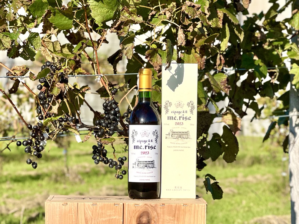 DREAMS COME TRUE池田ワイン城イベ ドリカムとドリカムの日 非売品