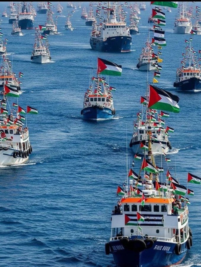#SumudFlotilla 
İnsanlığın filosudur.

#FreePalestine