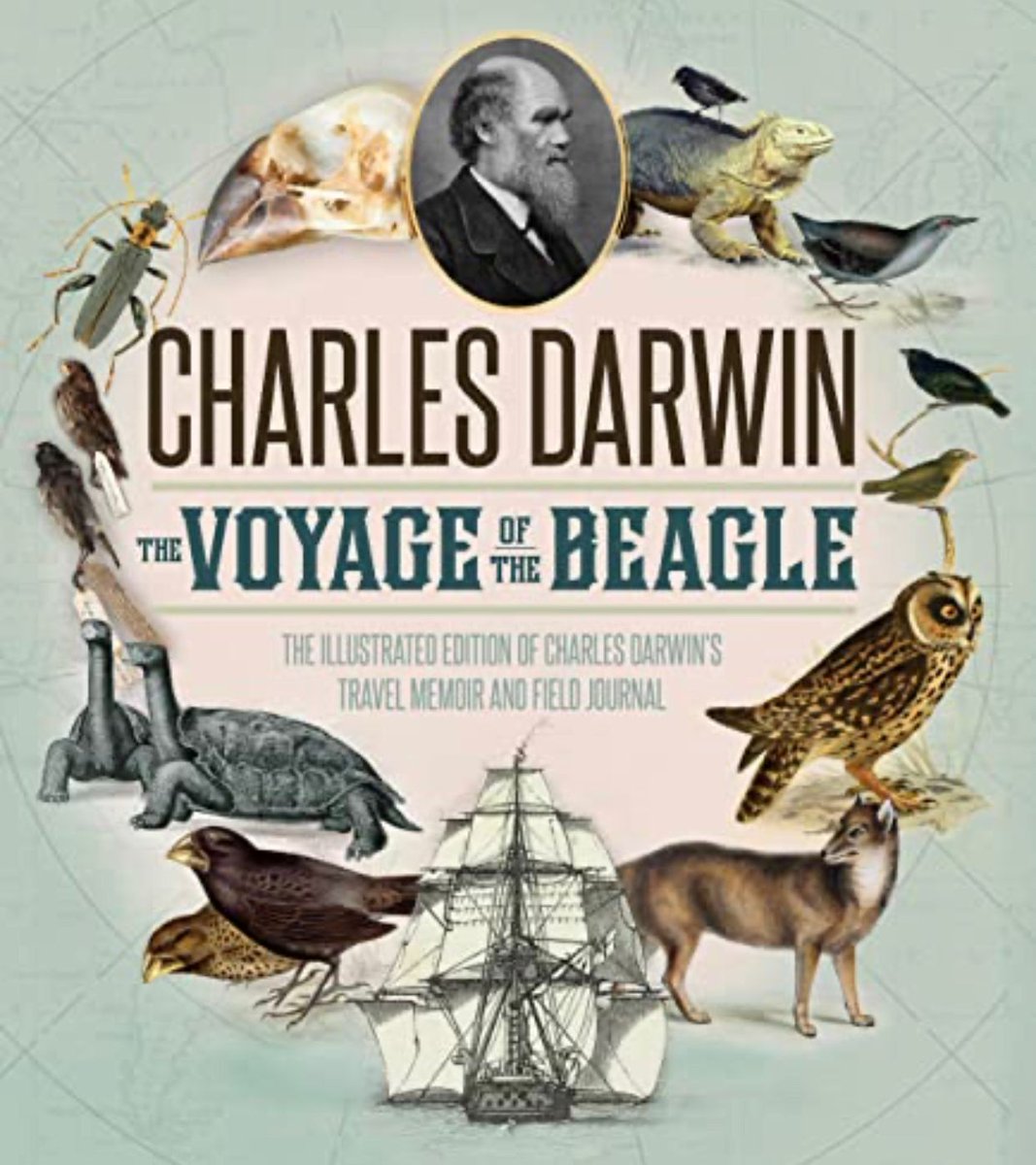 mariobianchi18's tweet image. Il #2ottobre 1836 #CharlesDarwin fa ritorno a Falmouth, Inghilterra, a bordo della Beagle dopo un viaggio di 5 anni, durante il quale ha raccolto dati che userà in seguito per sviluppare la sua teoria dell’evoluzione: In meno 10 anni ne pubblicò 6 edizioni, l&apos;ultima nel 1876.
