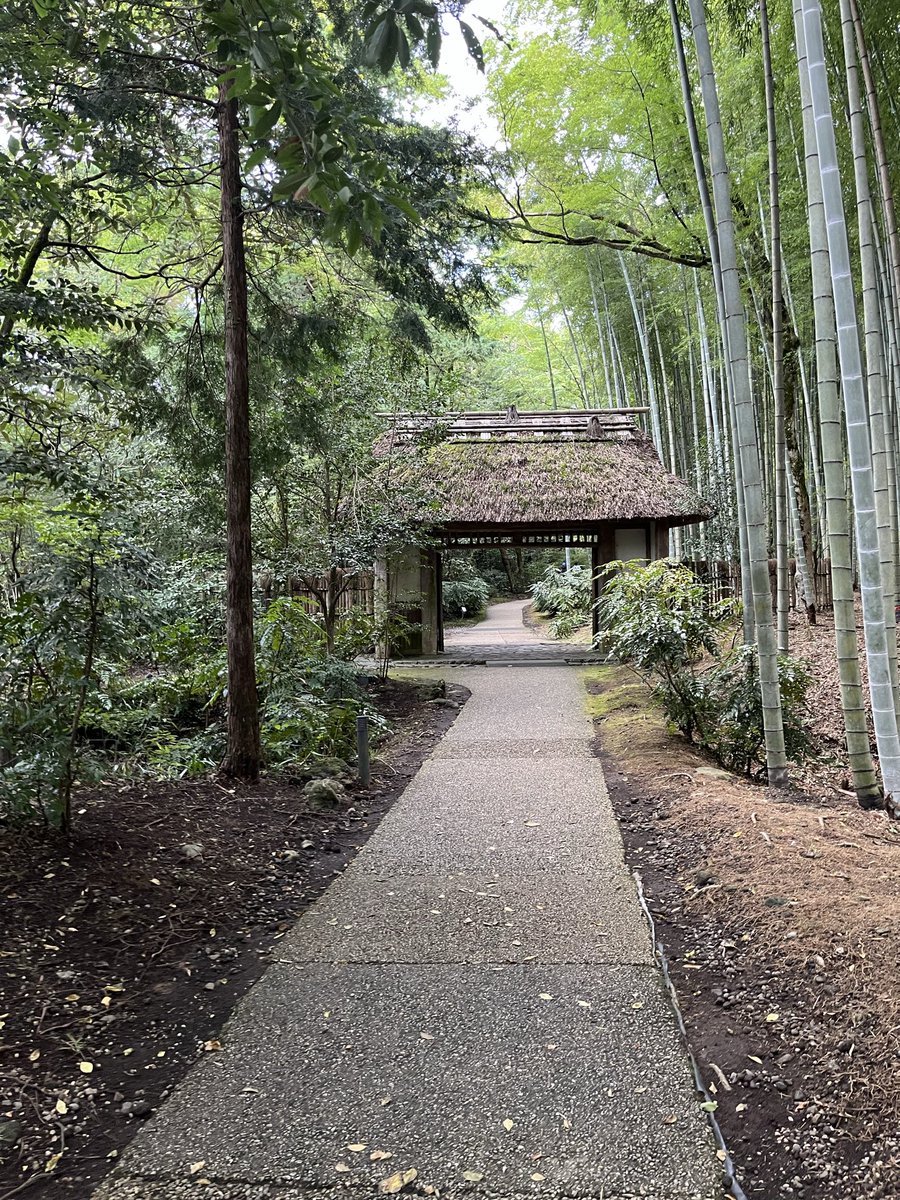 くにમゅƕ (@hqzmyn) / Posts / X